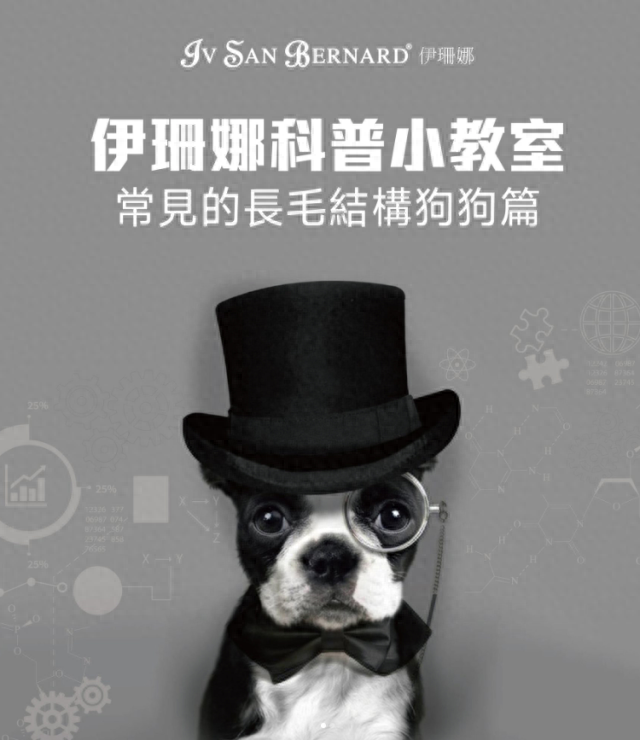 长毛狗狗推荐伊珊娜经典系列之青苹果