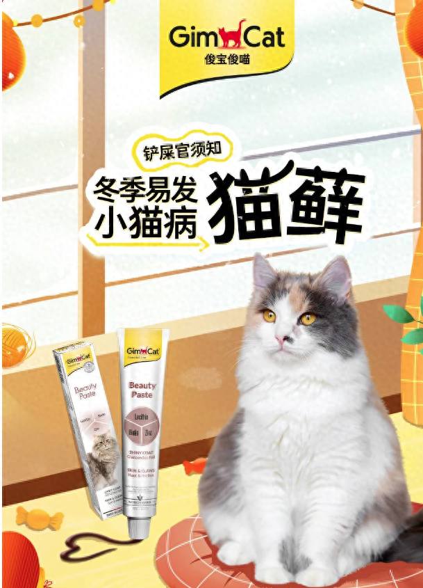 猫藓需高度警惕防治猫藓，妙招在手！