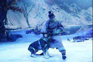 上世纪农村野狼经常出现，如今为何踪迹难寻，消失的野狼都去哪？