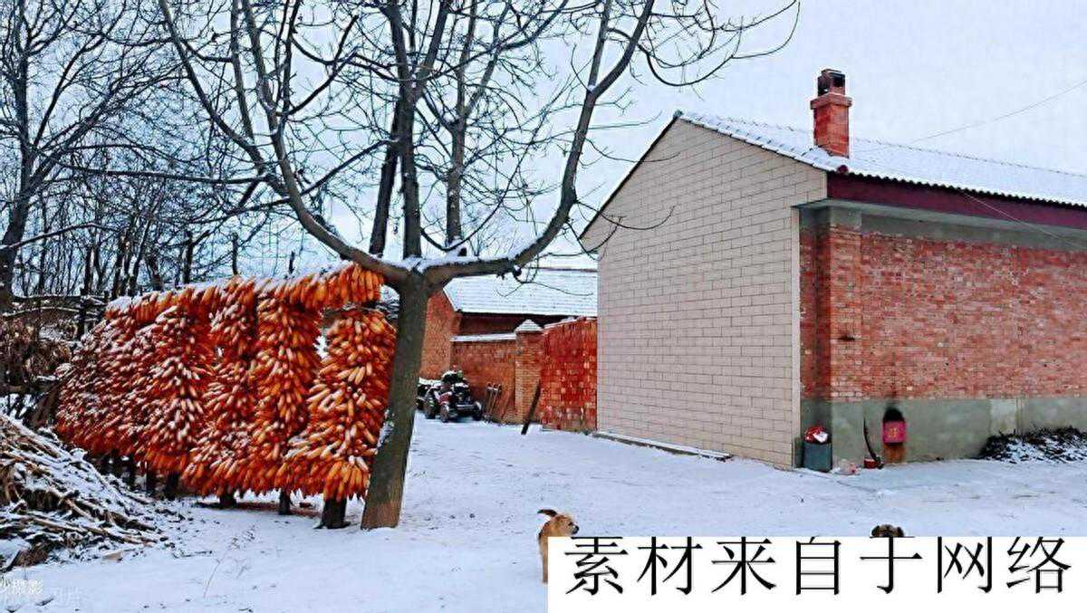 母亲和三婶多年不来往，大年三十晚上她对我说：请你三婶过来吃饭