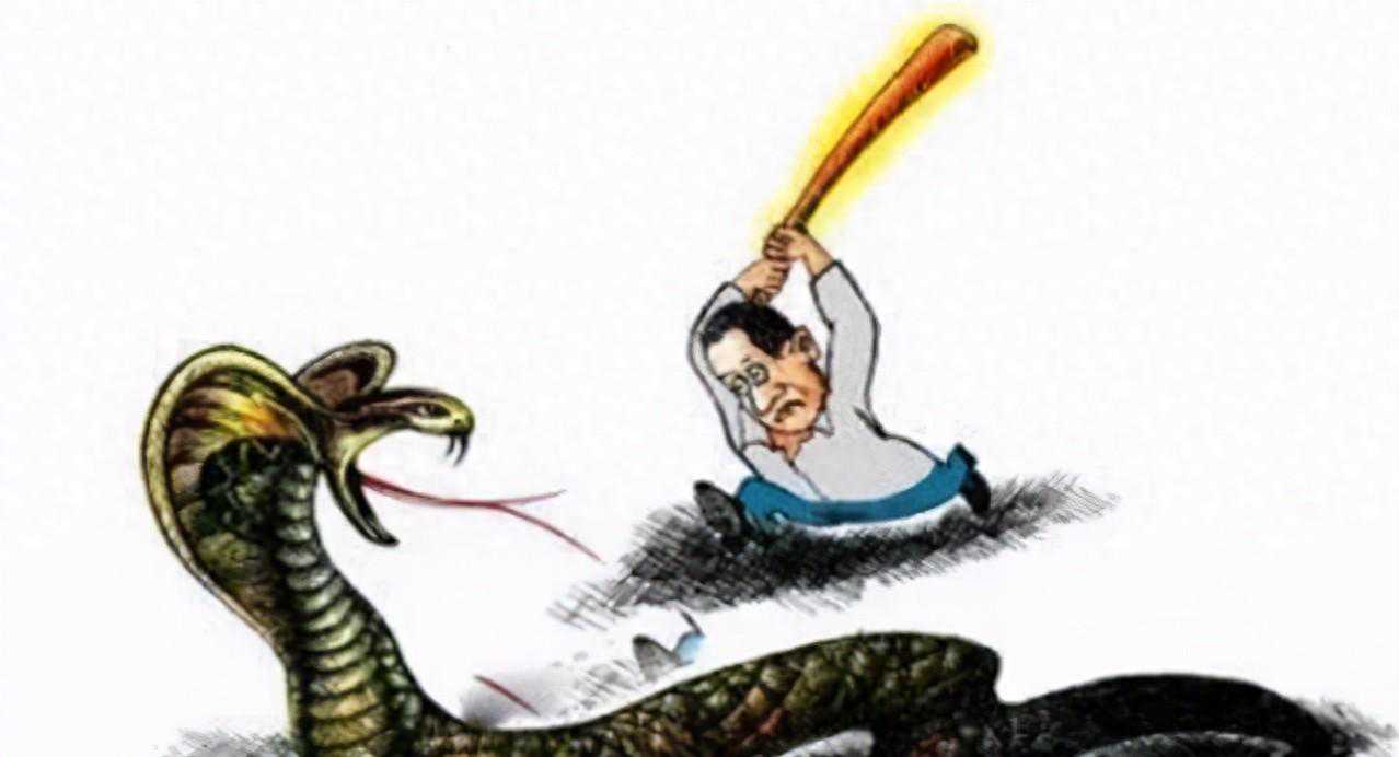 见蛇不打，三分罪，打或许比不打还要危险