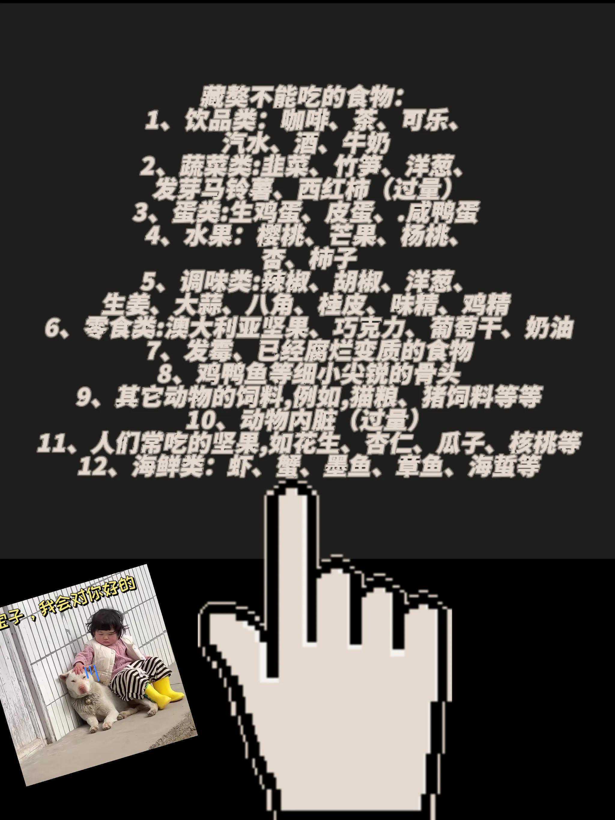 藏獒的食物清单