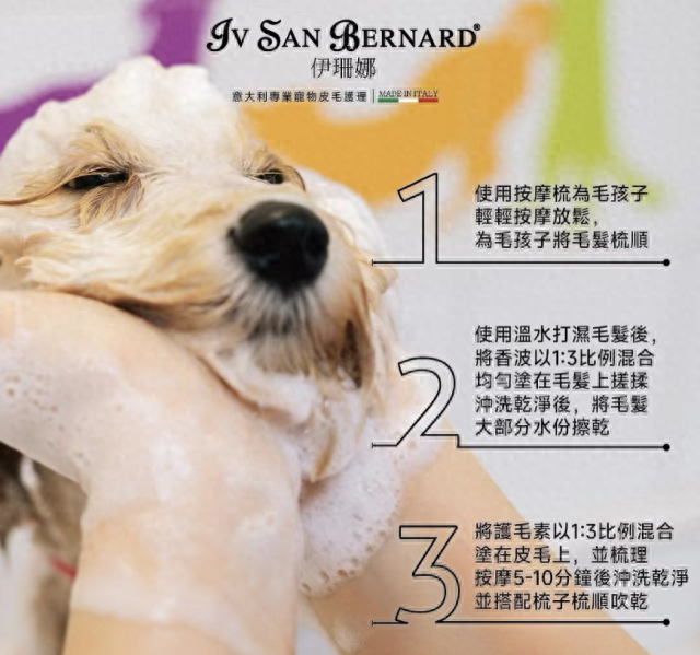 告别宠物店，宠物居家洗护全技巧大公开