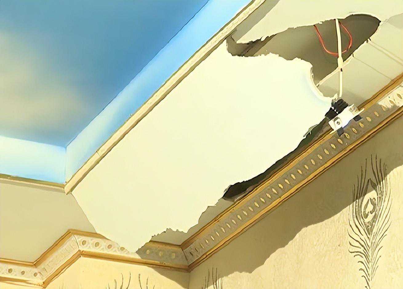 40斤蟒蛇“潜伏”足浴店10年，靠吃老鼠为生，撑破天花板才被捉