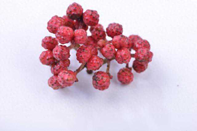 丁香和花椒的区别