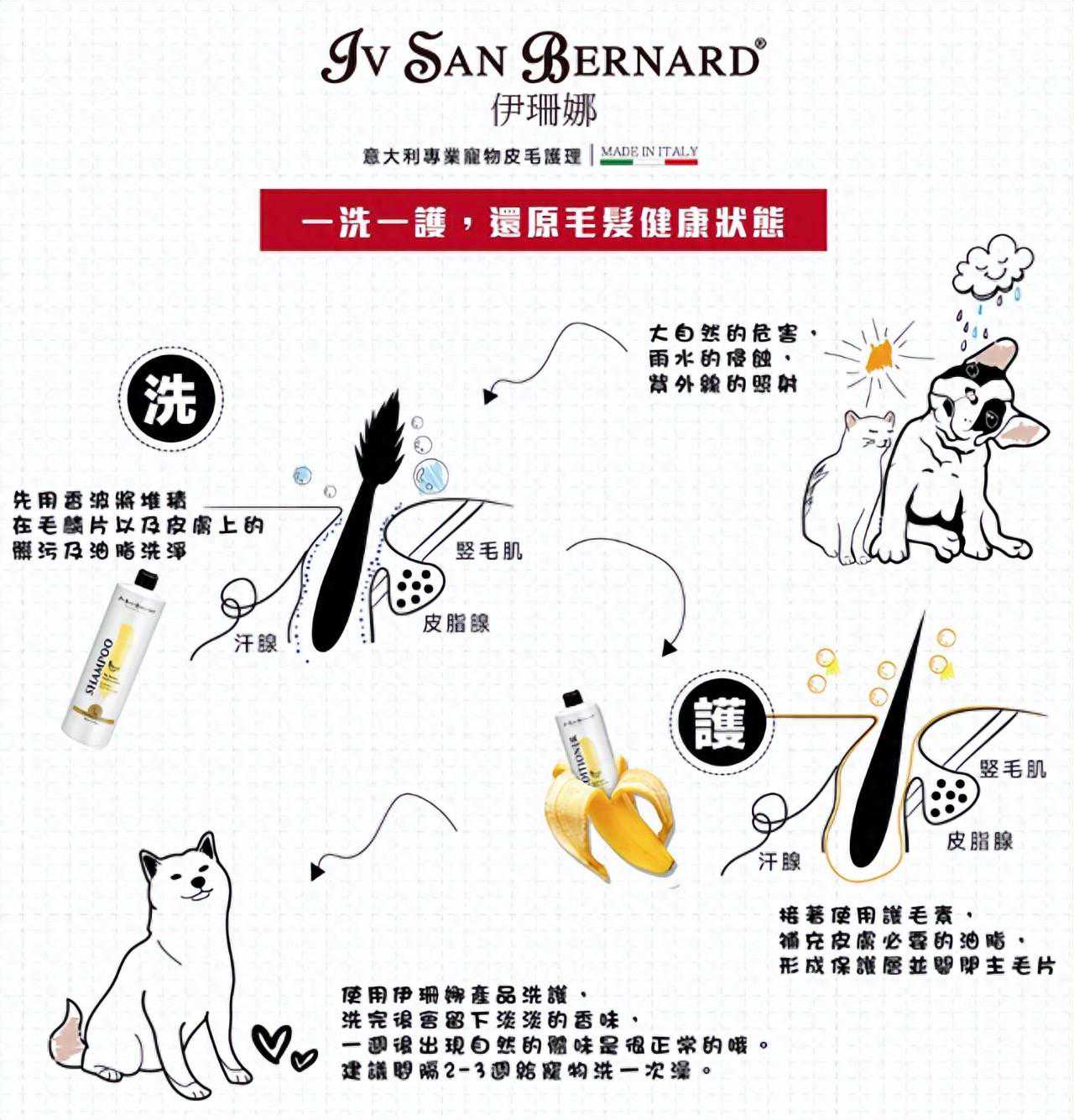 宠物洗澡为何需用护发素：保持皮毛健康与滋润的关键