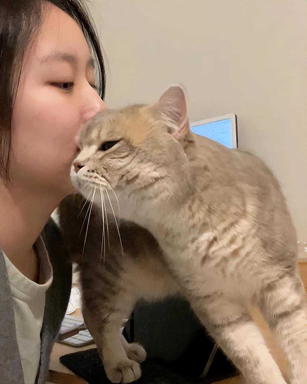 揭秘猫咪对你的‘想念密码’：七个行为告诉你它们有多想你！