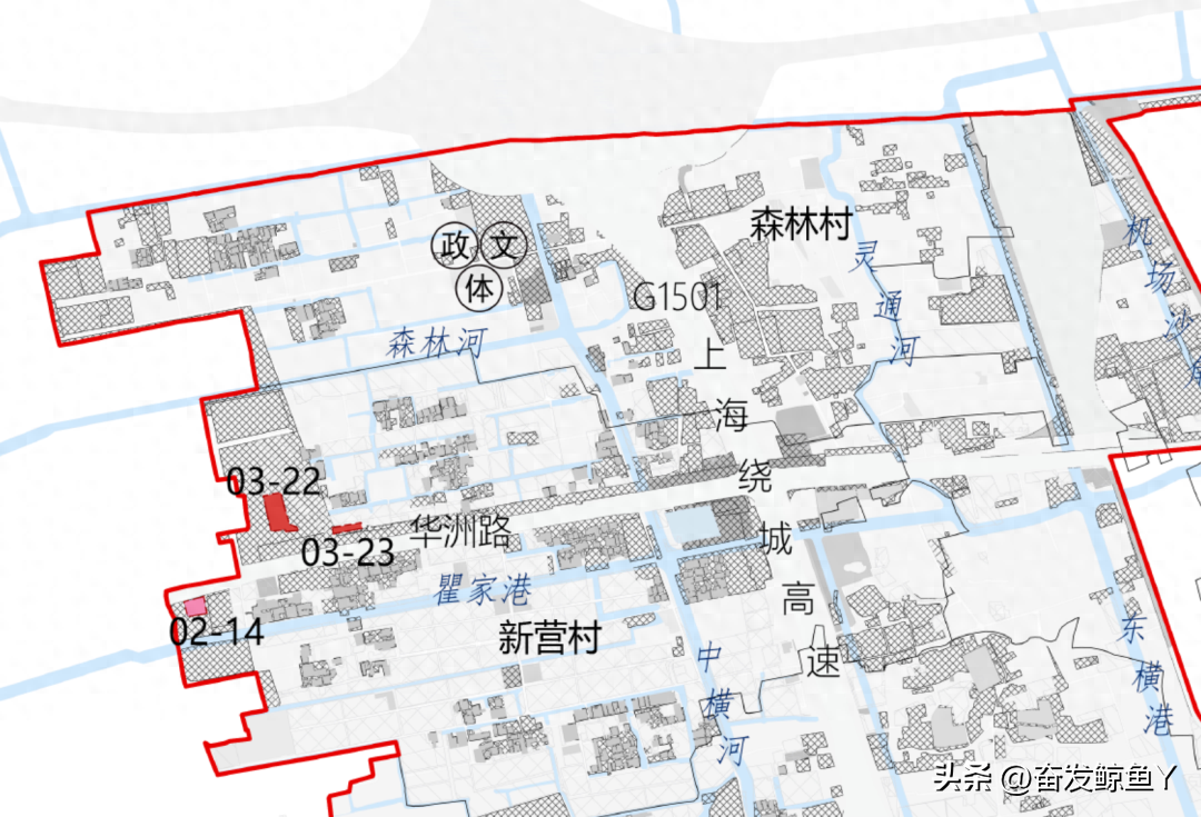 祝桥，将新建一处宠物市场