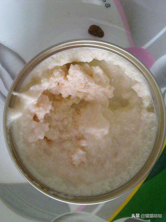 各种猫粮的试吃，猫吃以及我我我我我吃，总结报告贴