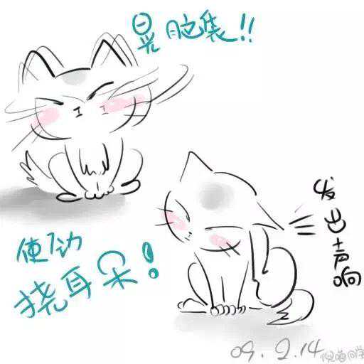 猫得了耳螨？该怎么办？|一篇文章教你对付猫耳螨