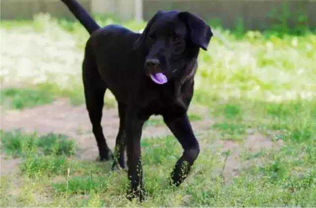 有一种付出，真的会上瘾