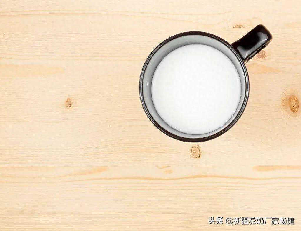 记住！驼奶不要这样喝哦！