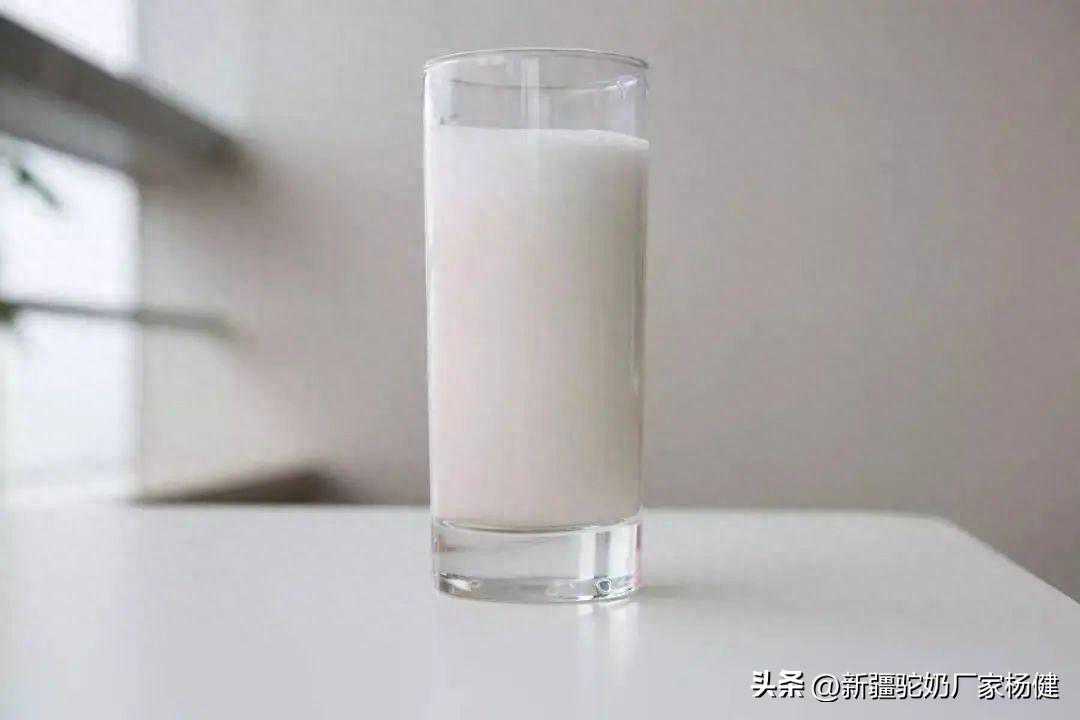 驼奶，大自然的馈赠！