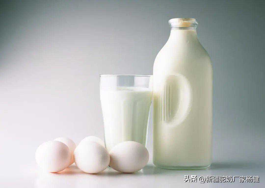 大家都在推荐的驼奶，有什么特别？