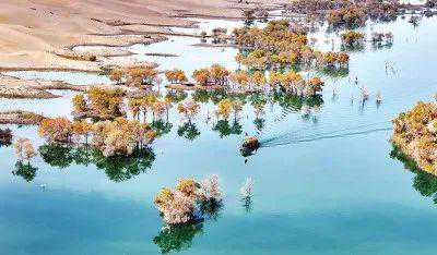 奋力开创新时代兵团宣传思想文化工作新局面