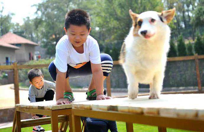 出游宠物谷，陪娃溜宠两不误 济南新添一携宠出游好去处