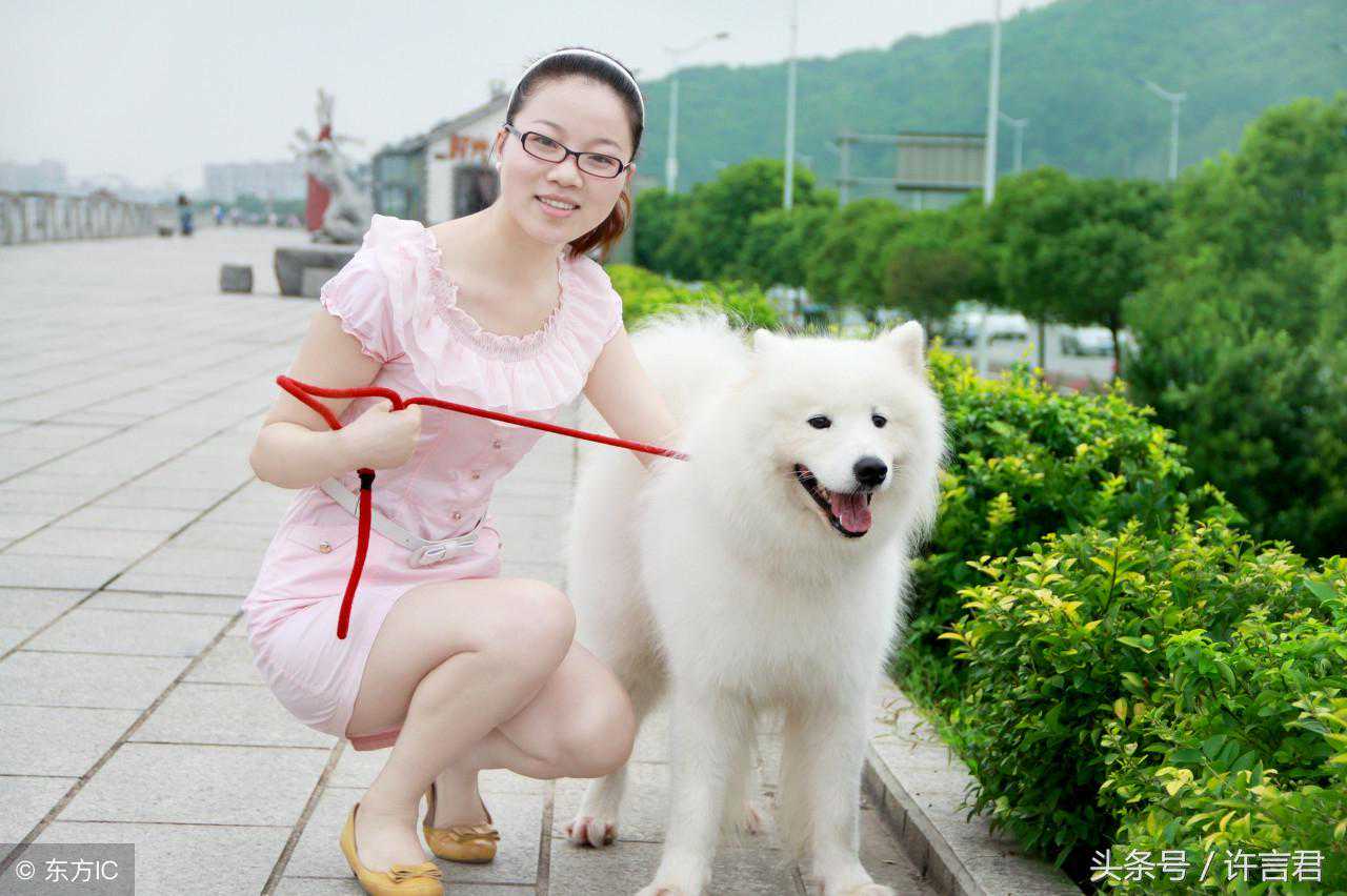 狗是汉朝的“时代宠儿”，汉武帝为狗专门建有“犬台宫”