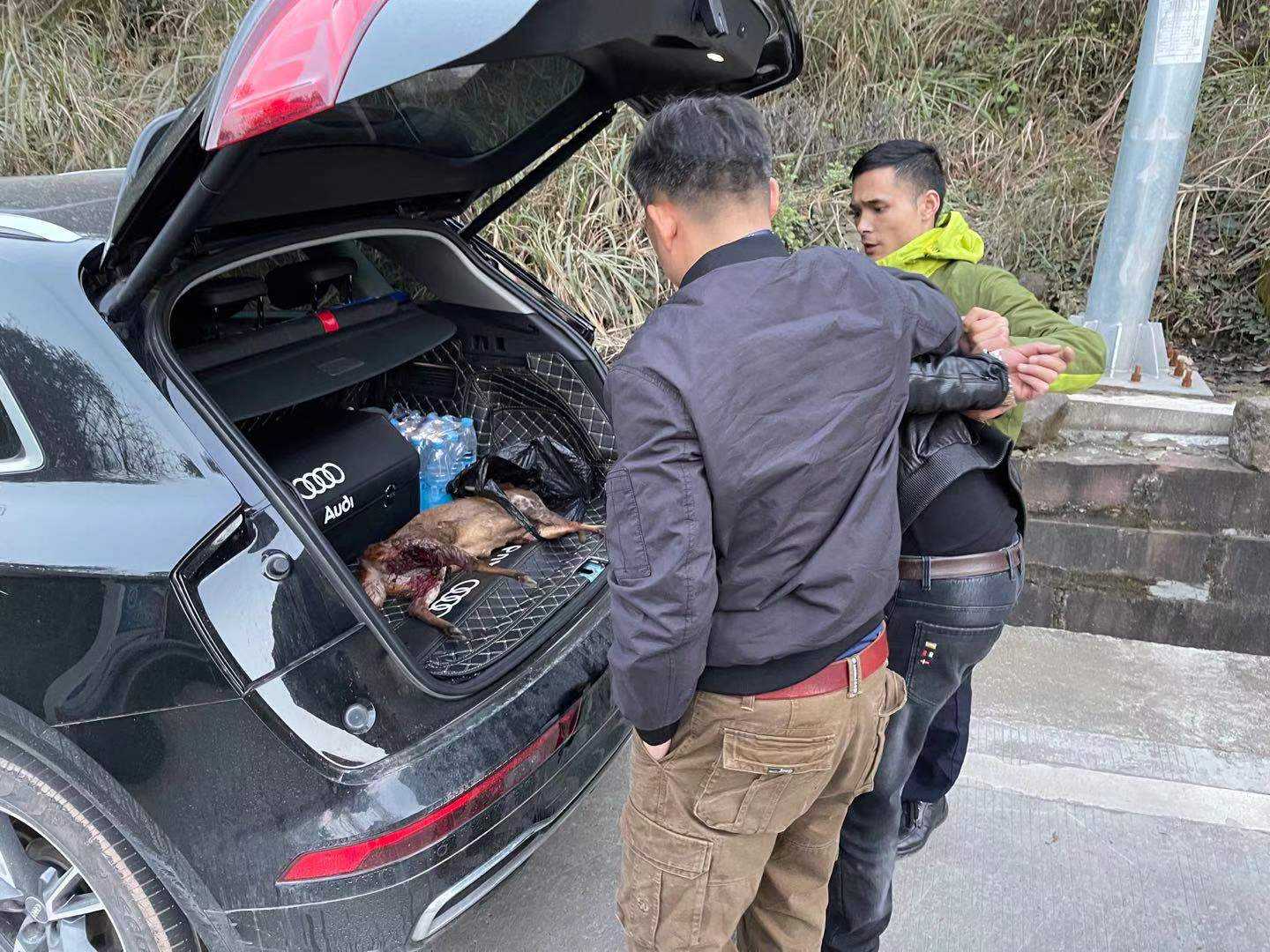 重庆三男子爱吃野味到国家森林公园捕得麂子，涉非法狩猎被拘