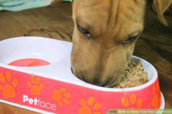 给狗狗自制狗粮，食材品种越少越好，蔬菜切得越碎越健康