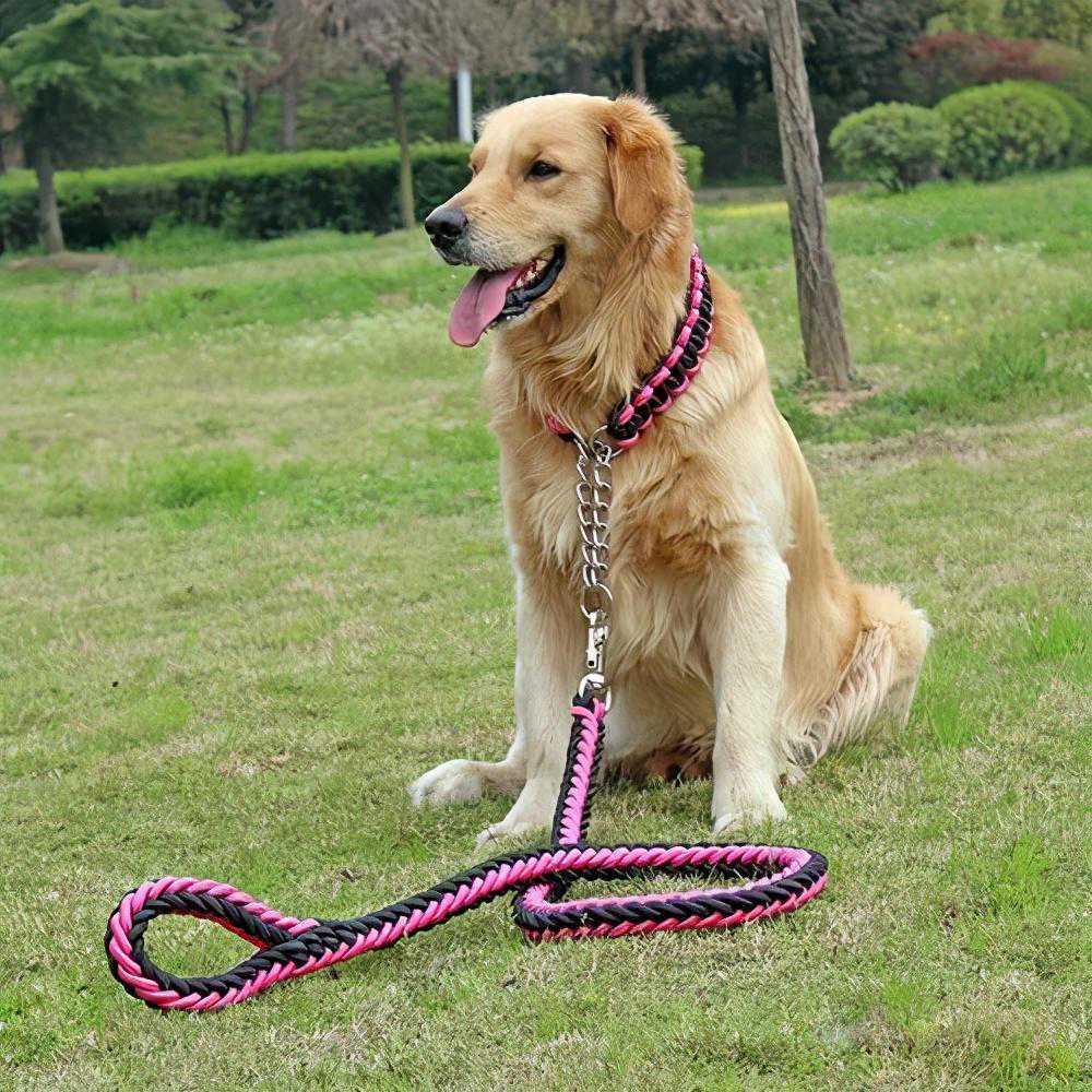 狗子交配后，为什么会背靠背闭锁？这不是很危险吗？