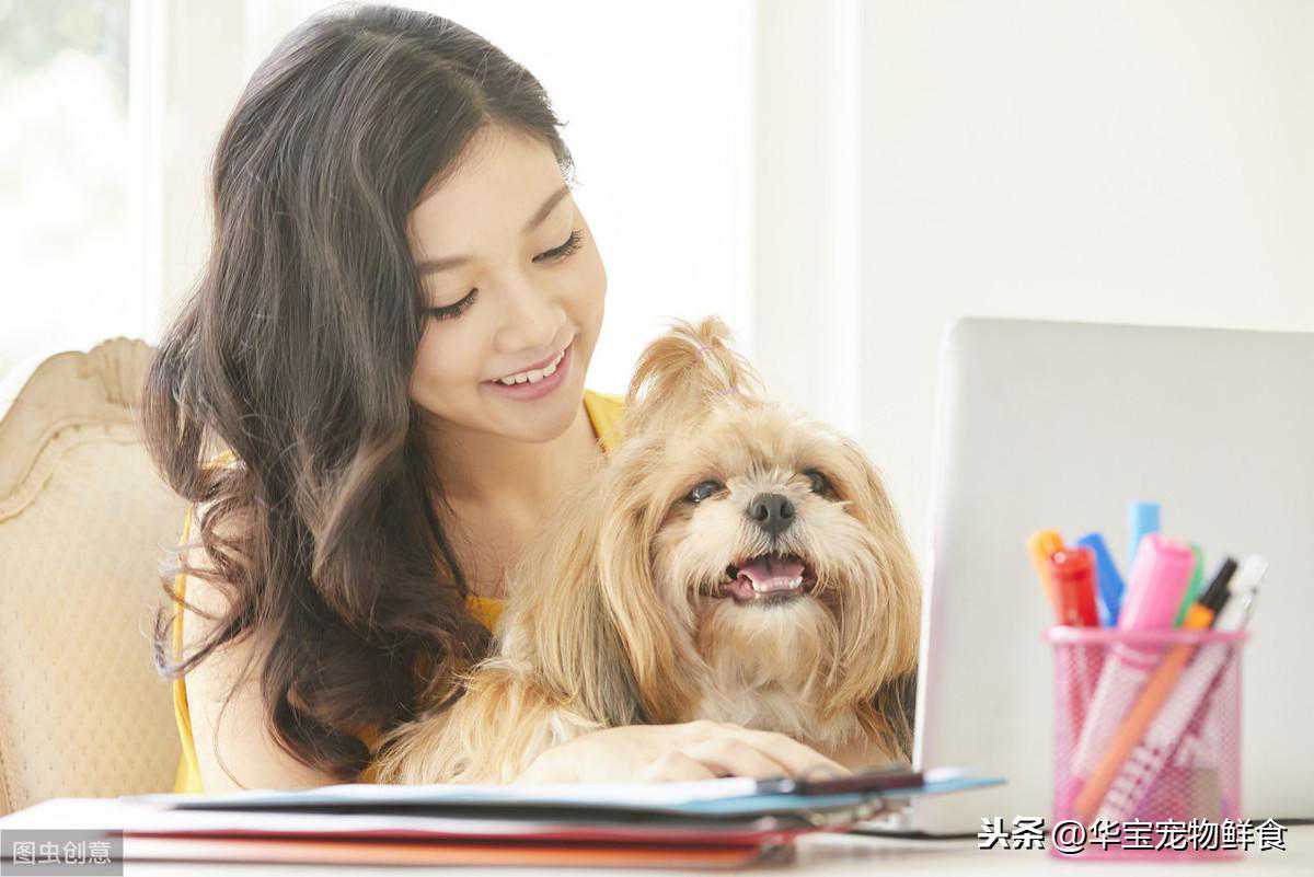 养狗人必知的-狗狗的营养代谢病的防治~维生素B族缺乏症