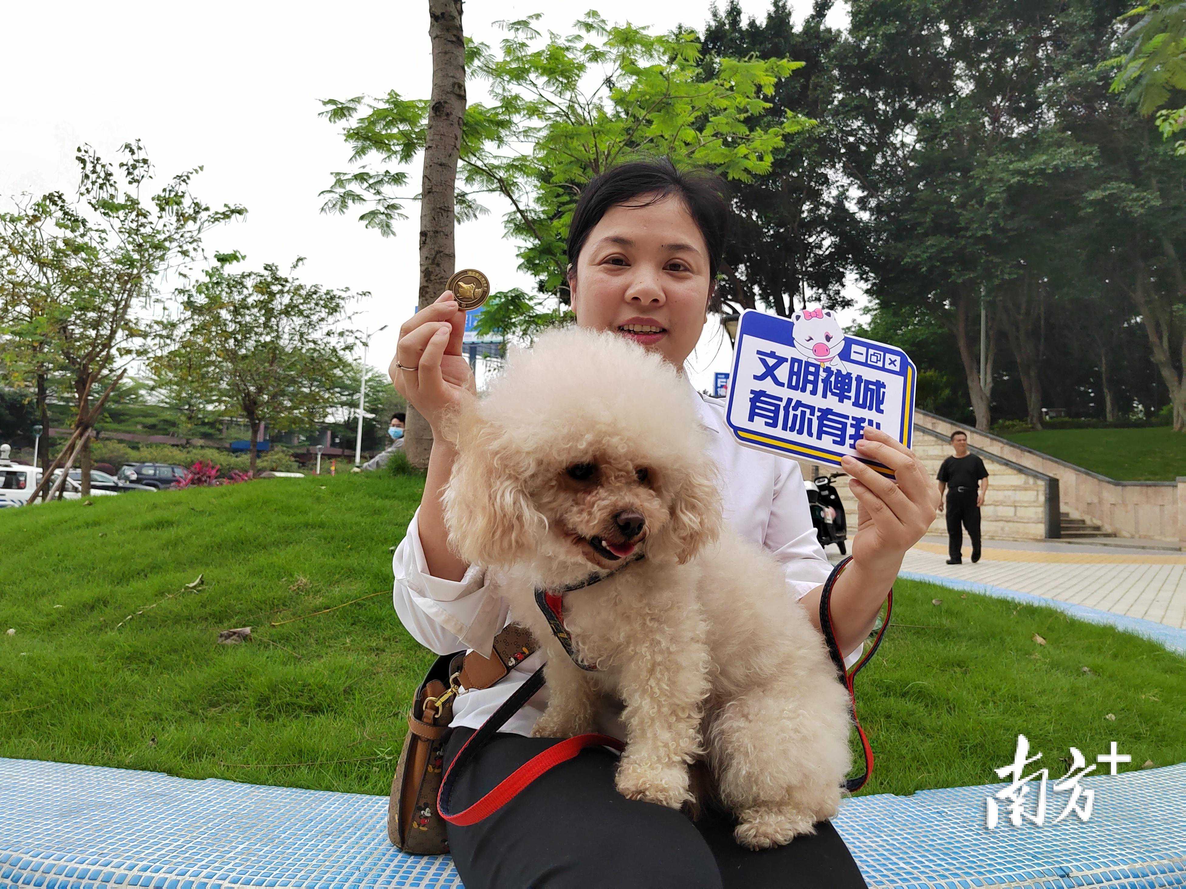1.4万块犬牌背后，禅城市民怎样牵牢养宠“文明绳”？