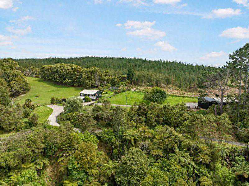 在新西兰轻轻松松当地主