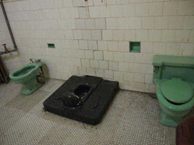 在欧美国家，几乎清一色的坐便器，为何不用蹲厕，不会蹲吗？