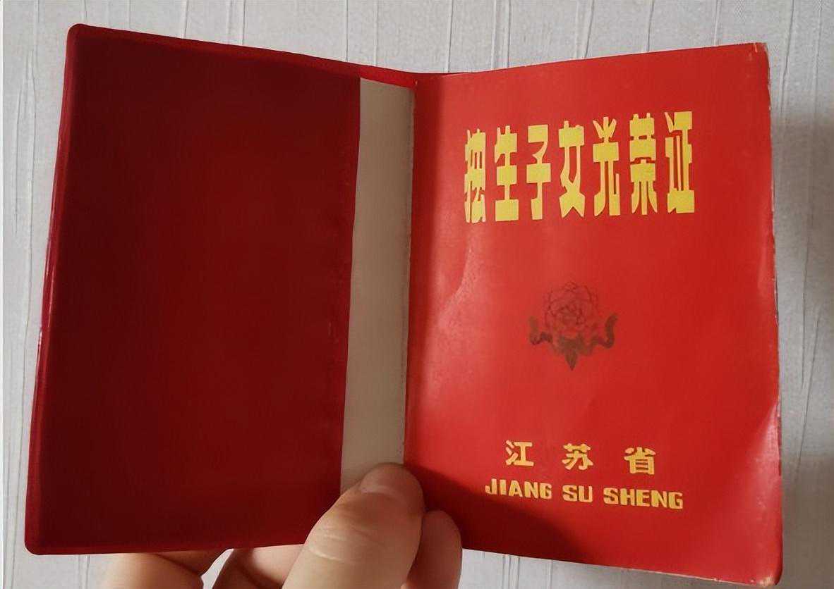 中国2亿独生子的扎心现状：20年后他们的“凄凉”会超乎你的想象