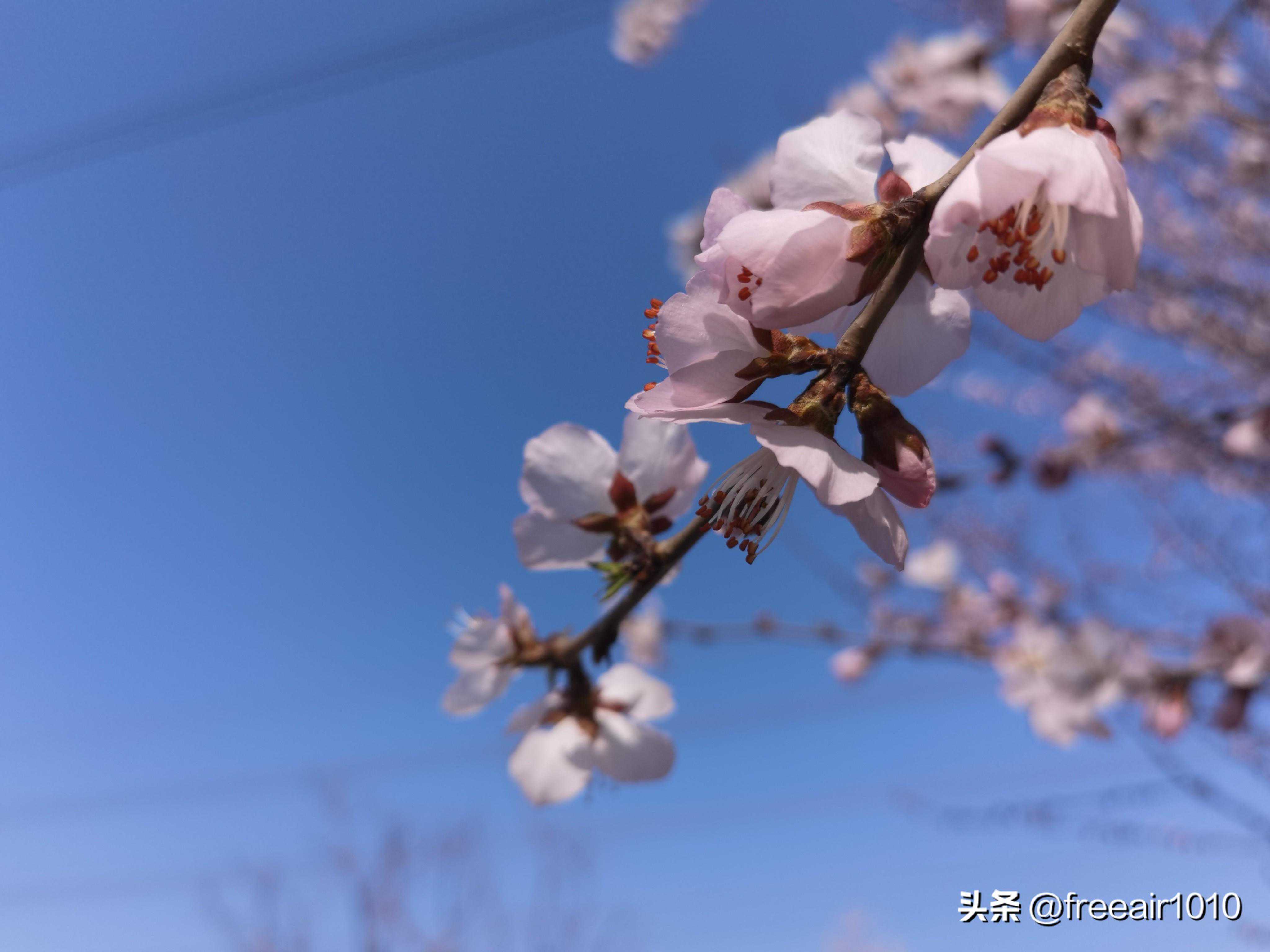 春游辽阳燕州城