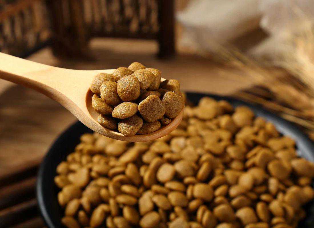 双11怎么选狗粮？推荐8款爆款狗粮！