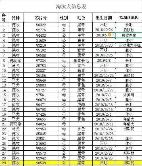 “考编失败”的狗子成功拍卖，最高卖了33万