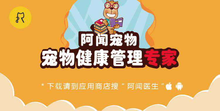 杜宾剪耳、贵宾断尾，是残忍？还是为狗狗好？