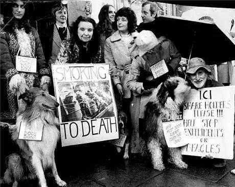 丧心病狂的实验，强迫狗狗抽烟