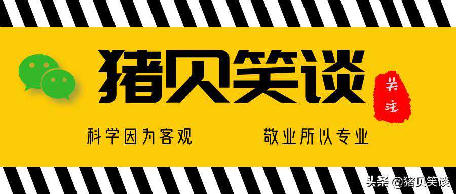 猪场都有哪些耳号标识的方法？真是涨知识了
