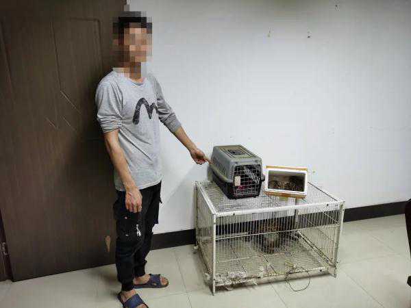 男子在微信群卖“猫”，已被抓！