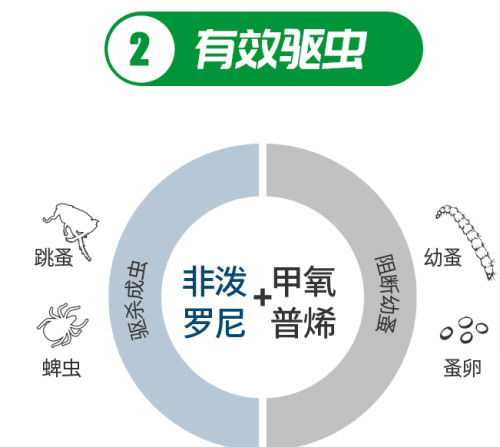 狗狗驱虫为什么要选福来恩，最全分析看这里