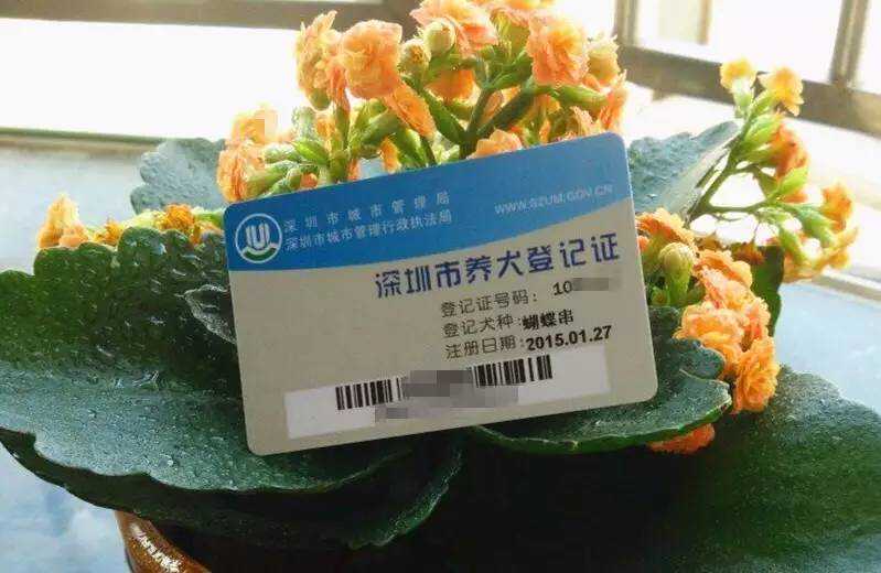 办狗证别白跑一趟，深圳各区都不同，最新最全狗证办理攻略在这里！