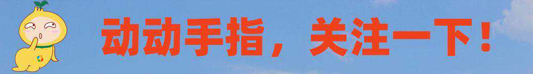 重庆最特别的花鸟集市，距离解放碑不到500米，每周仅开放一天