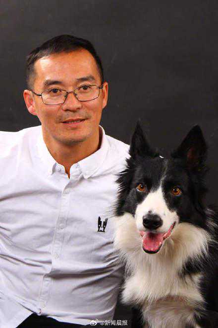 动物行为专家建议烈性犬应细化从严管理，尽快健全养宠环境！