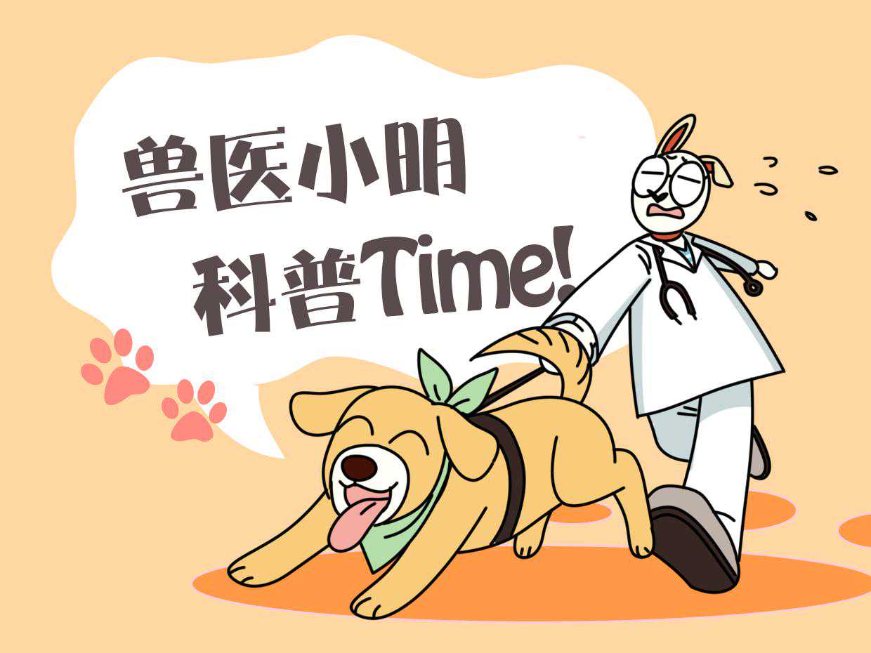 狗妈在给喂奶时，感觉腹部力道加重了，一抬头：你是不是搞错了