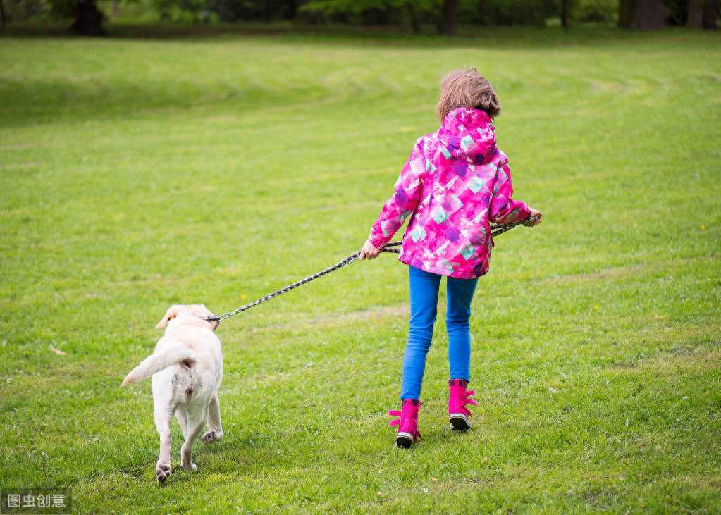 狗狗爆冲，不是一天能改的坏习惯，训犬师这5个方法辅助你纠正