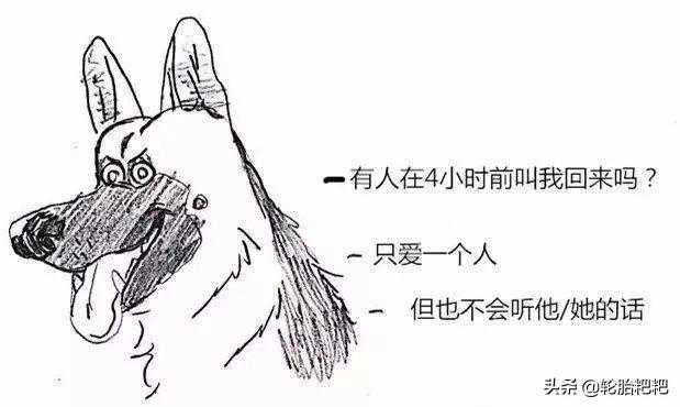 每种狗狗不同的习性，你有了解过吗？