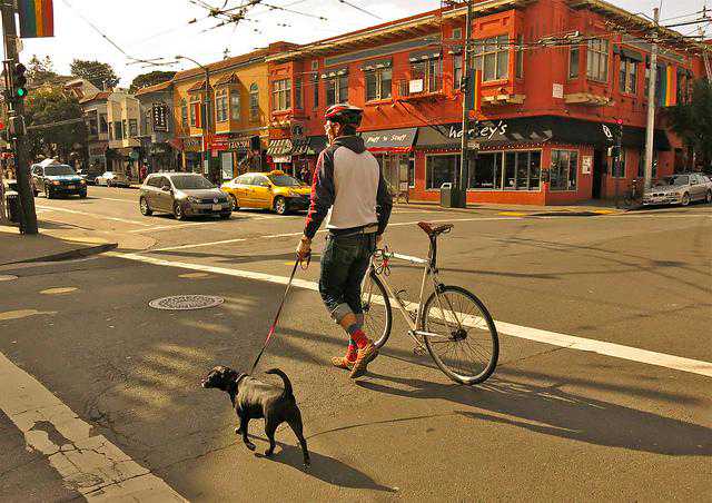 这样遛狗，狗狗回家肯定没力气拆家了，6步学会轻松遛狗法