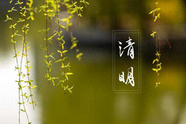 春回大地，清明踏青行