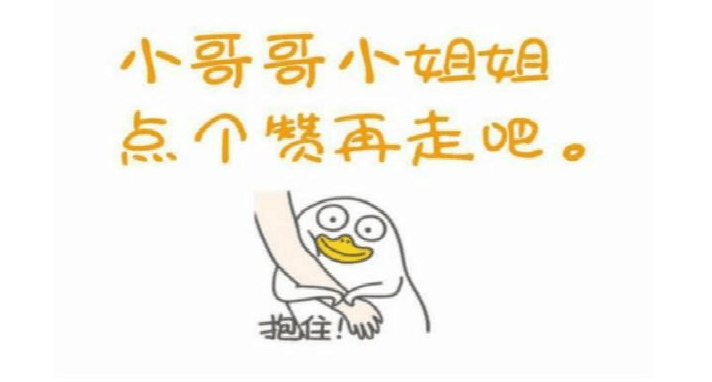 “柯基犬”价格大跌，为何养的人却越来越少？