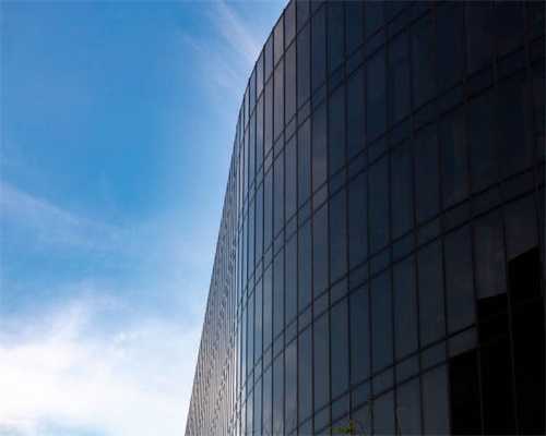 为什么不建议你养折耳猫？