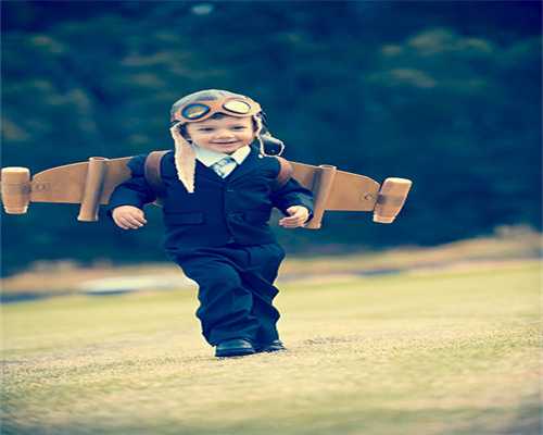 这个城市办宠物证有大用处，狗狗走失后可通过APP定位寻回