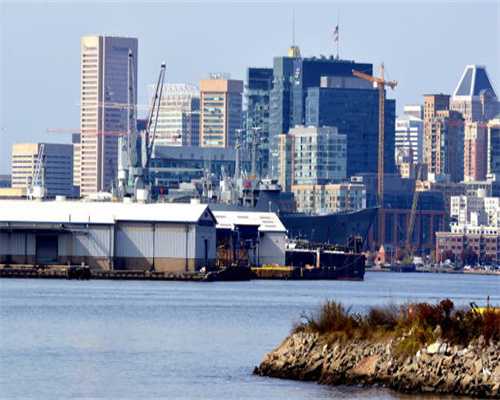 猫咪为什么不开心？又该怎么让它们开心起来呢？