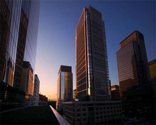 公开课-具有梗类犬气质的小型犬-吉娃娃